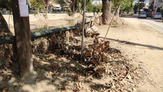 ΚΡΑΥΣΙΔΩΝΑΣ ΦΕΡΤΑ ΥΛΙΚΑ ΚΑΓΚΕΛΑ1