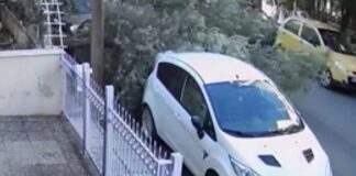 Η στιγμή που δέντρο καταπλακώνει αυτοκίνητο (βίντεο)