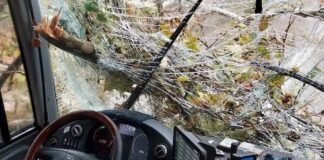 Κλαδί δέντρου διέλυσε παρμπρίζ σε λεωφορείο εν κινήσει (βίντεο)