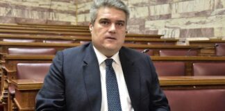 Μίλτος Χρυσομάλλης: Επιφυλάξεις επί της τροπολογίας για τους μετανάστες