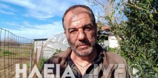 Καταγγελία για νέο περιστατικό με σκυλιά – Επιτέθηκαν σε κτηνοτρόφο – Κατασπάραξαν πρόβατα