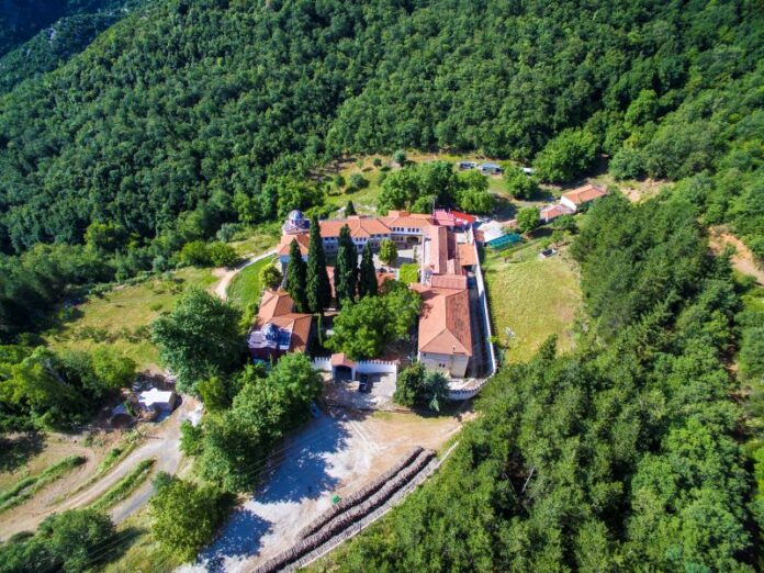xenia (1)