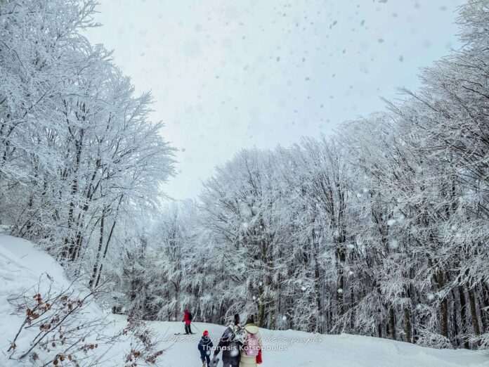 419169578_7241487829246450_1069669787006138037_n