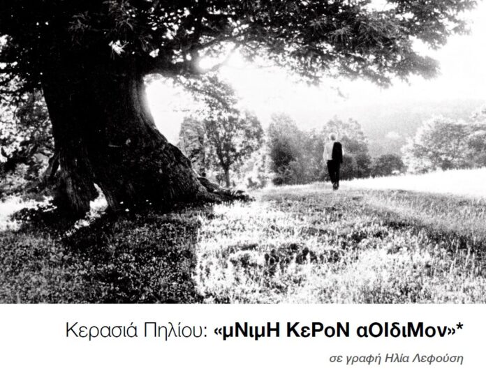 εξώφυλλο λευκώματος