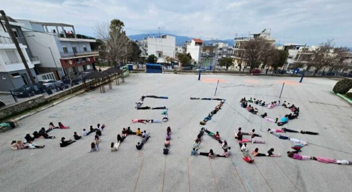 21o ds bolou