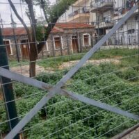 mikri plateia konta stin evaggelistria 2 3