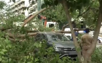 Δέντρο έπεσε πάνω σε αυτοκίνητα- Δείτε βίντεο