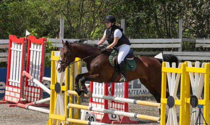 ippotis dreassage jumping (3)