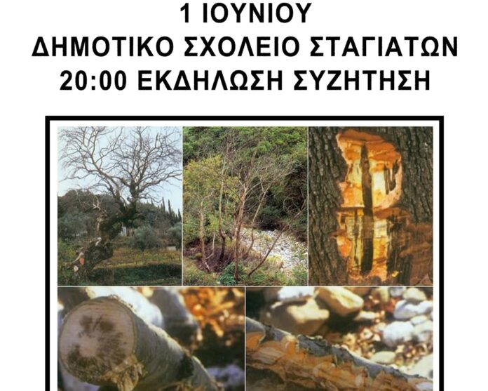 stagiates