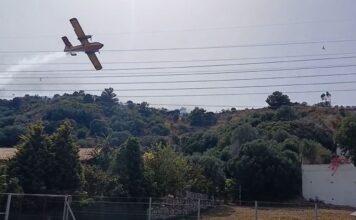 Η στιγμή που canadair προσκρούει σε πεύκο (βίντεο)