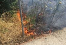 Κάηκαν καλάμια και ξερά χόρτα στη Σούρπη
