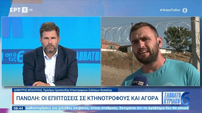 ktin24