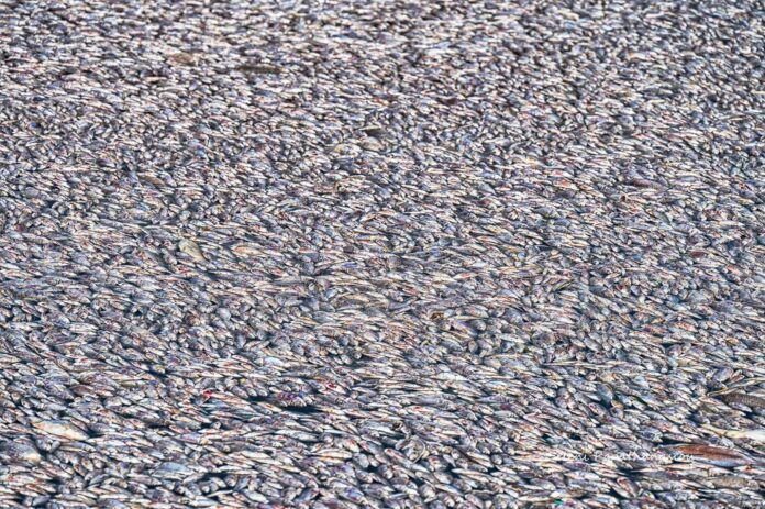 456968889_10225219507701105_2152099256292753943_n