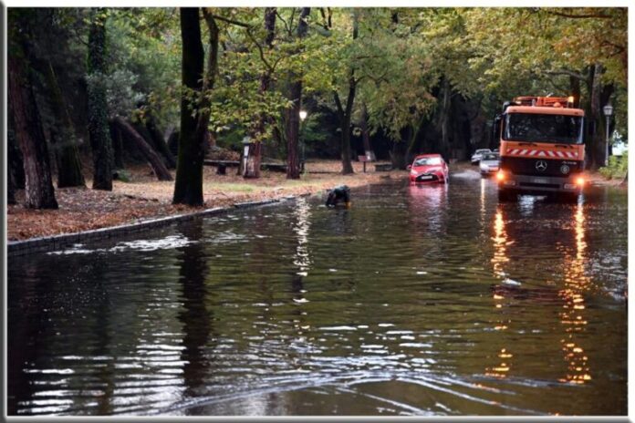 IOANNINA