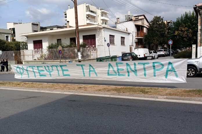 PANO FYTEPSTE DENDRA