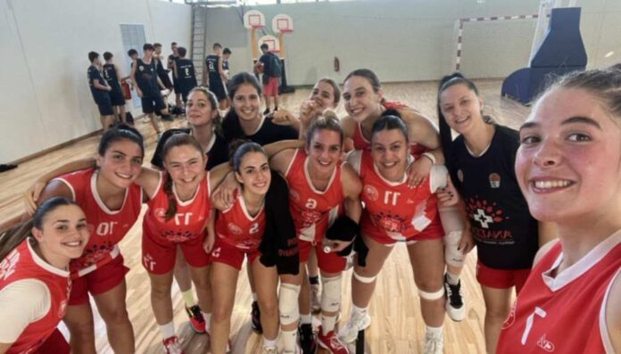 basket women ol vol