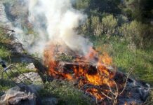 Πρόστιμο 1.687 ευρώ από την Πυροσβεστική για καύση ξερών χόρτων