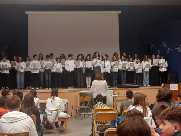 xorodia (2)