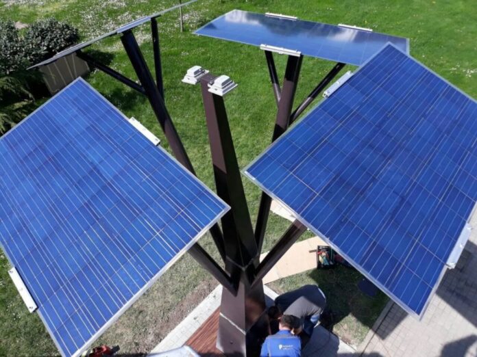 Smart-Tree-EasyTree-home-3-1024x768