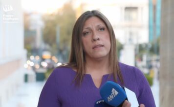 Κωνσταντοπούλου: Περιμένω από την Κυβέρνηση να άρει την αυτοπροστασία της