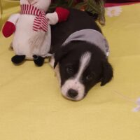 472260865_985941370238312_6466804920053390437_n