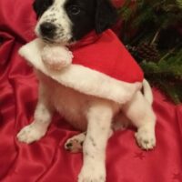 472337408_985941170238332_1649695830206815591_n