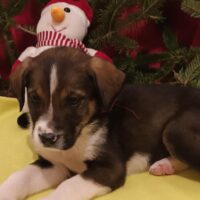 472369571_985941490238300_6217249467790724796_n