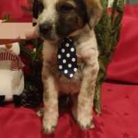 472370817_985941283571654_1117618067421510494_n