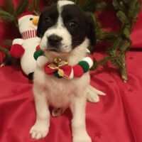 472528447_985941306904985_5283881207627800008_n