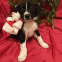 472588940_985941316904984_8357098368187912434_n