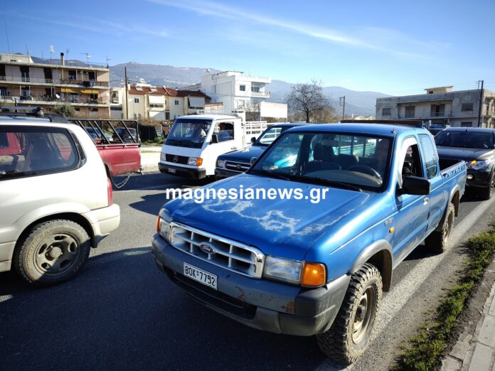 IMG20250123111521 (1)