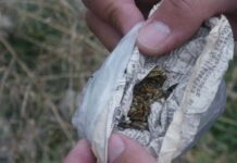 Μοτοσικλετιστής κατείχε κάνναβη