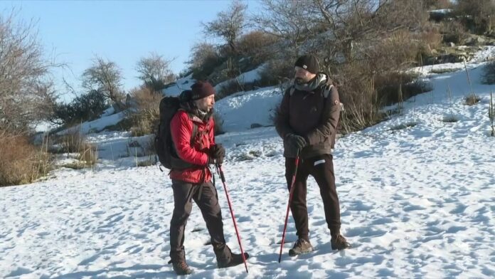 202502162117089982-1200x675