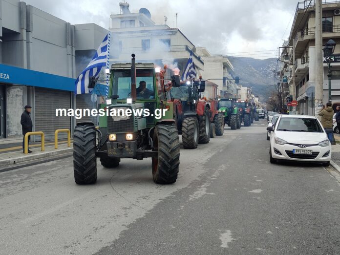 IMG20250204120838