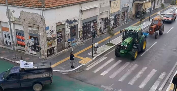 agrotes