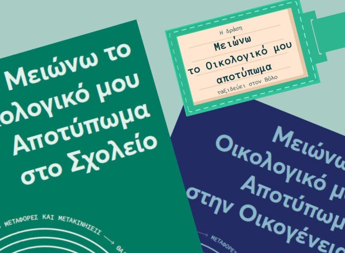protypo gimnasio (2)