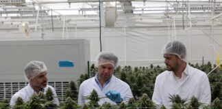Ο Στέφανος Κασσελάκης επισκέφτηκε εργοστάσιο φαρμακευτικής κάνναβης