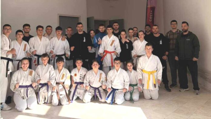 pigasos agria 27 metallia (4)