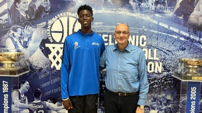 falouliolios-768x1024