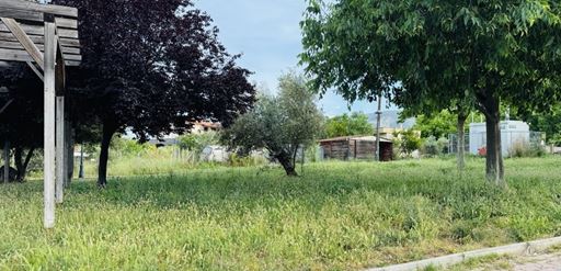 nea dimitriada 2 (1)
