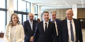 Ανδρουλάκης στον ΣΕΒ: Σύσταση μόνιμου υπουργείου Made in Greece και angel visa
