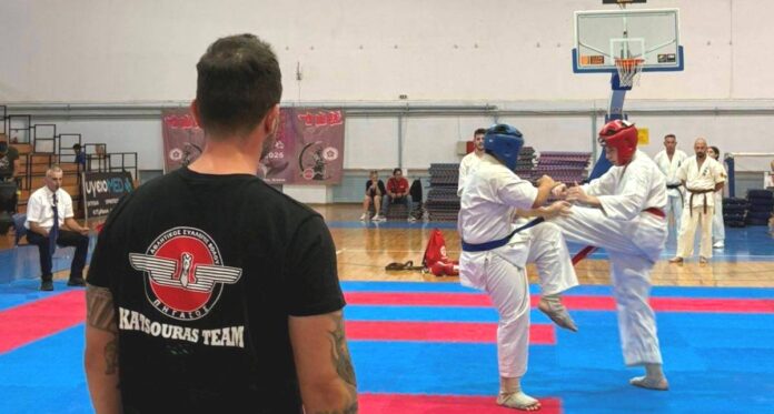 Pigasos 15 metallia (1)