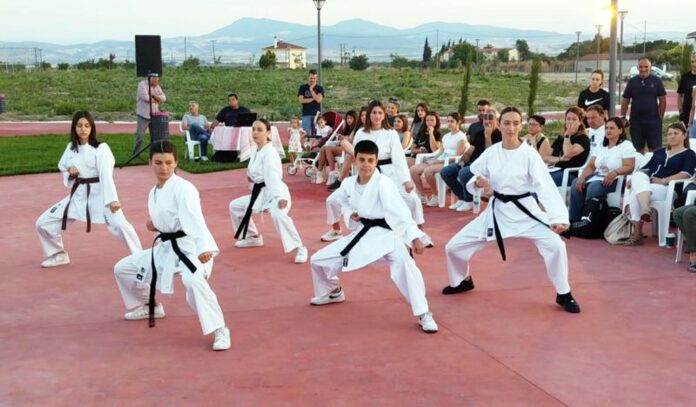 zones karate stefanovikeio (2)