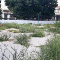 98a296ca-091a-41df-80c2-a8cf9d243576