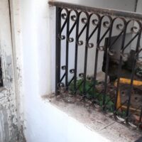 ae3029c4-4240-4ee7-9fd9-a2b92b7be2d2