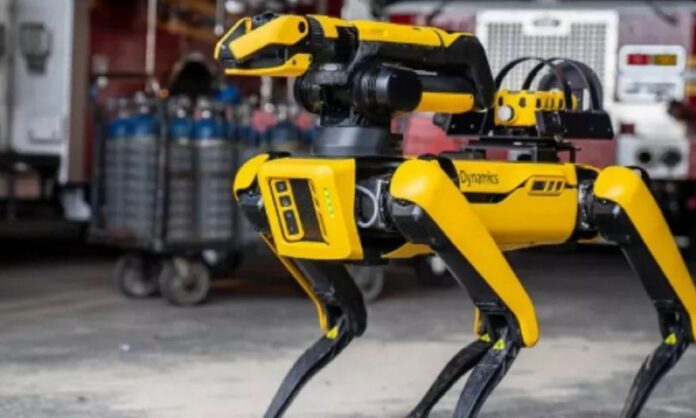boston_dynamics_photo_robot_do_120914