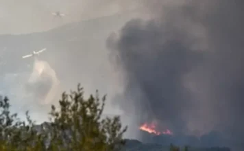 Δήμος Πατρέων: «Άμεσα περισσότερα εναέρια μέσα για την κατάσβεση»