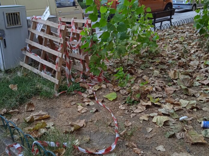 537514769_31842599588660592_7001415100518646089_n