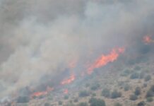 Ενισχύσεις από τον Βόλο στη μεγάλη φωτιά στο Ακραίφνιο Βοιωτίας