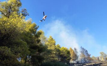Καιρός «hot – dry – windy» τις επόμενες 48 ώρες: Αυξημένος ο κίνδυνος φωτιάς